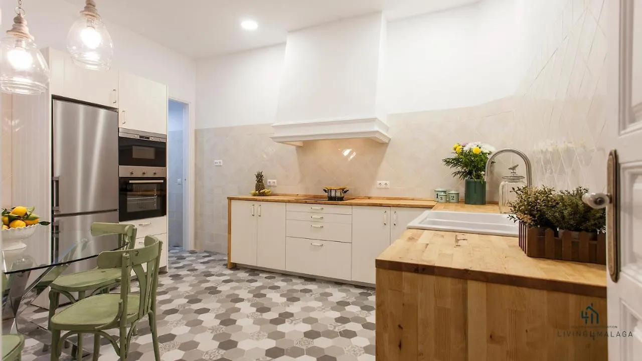 Living4Malaga Aduana Presidential Apartment Malaga